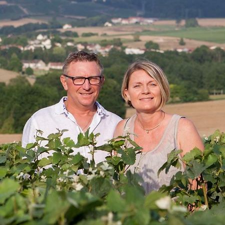 Vila La Boulonne Festigny  Exteriér fotografie