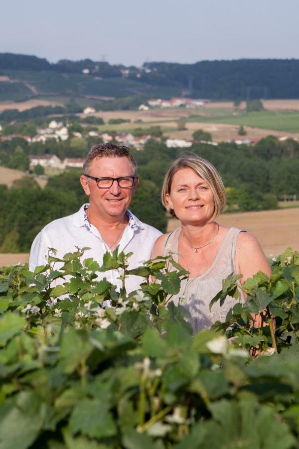 Vila La Boulonne Festigny  Exteriér fotografie