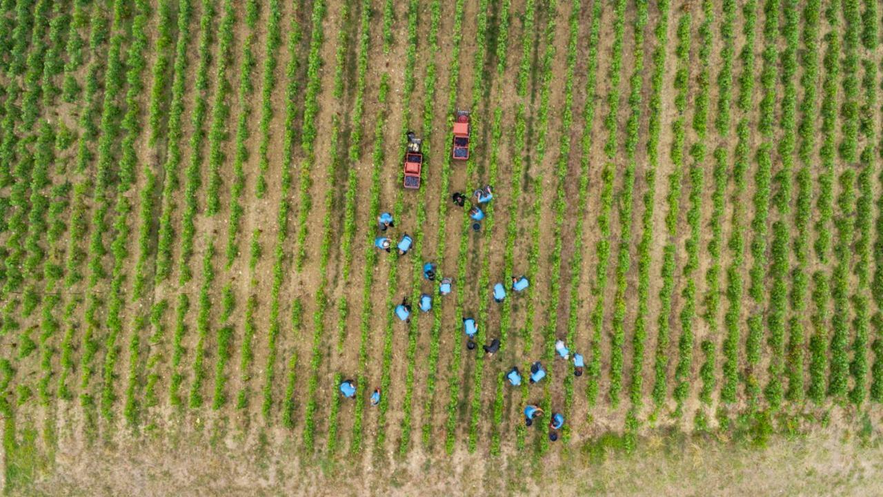 Vila La Boulonne Festigny  Exteriér fotografie
